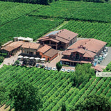 Vineyards in Modena, Italy, the region where Traditional Balsamic Vinegar of Modena PDO is produced.