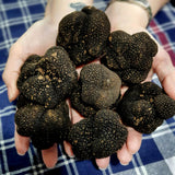 Fresh black truffles Australia