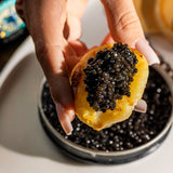 CAVIAR LOVER - N°1  Tradition Prestige