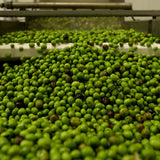 Orsini Extra Virgin Olive Oil