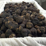 Fresh black truffles Australia