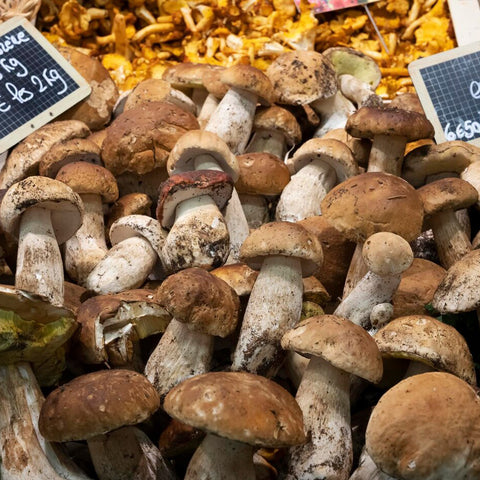 Italtouch premium porcini mushrooms from Italy, naturally preserved in oil, offering restaurant-quality flavour, now available in Dubai, perfect for gourmet dishes like pasta, risotto, and appetisers.