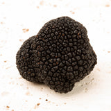Fresh Black Winter Truffles, Australian black winter truffle, Tuber melanosporum, Fresh truffle, truffle lover, truffle love, trufflemandubai, italtouch, italtouch dubai,