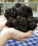 Truffle, Fresh Black Uncinatum Truffle, italtouch, trufflemandubai, gourmet, gourmetdubai, Fresh truffle, gourmet delivery