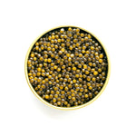 Caviar - Kaluga Queen - "HYBRID"